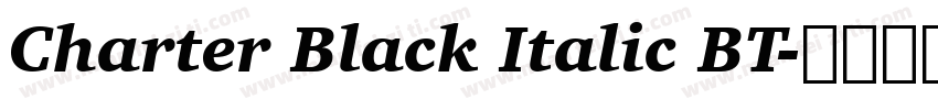 Charter Black Italic BT字体转换